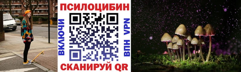 где купить наркоту  Богородск  Псилоцибиновые грибы Magic Shrooms 